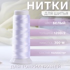 Нить атласная, 120D/2, 700 м, цвет белый 10242607 - фото 309451198