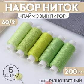 Набор ниток «Лаймовый пирог», 40/2, 200 м, 5 шт, цвет разноцветный 10242608