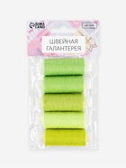 Нитки «Лаймовый пирог», 40/2, 200 м, набор 5 шт., разноцветные - Фото 5