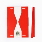 Коробка подарочная «С Новым годом!», 24 х 11.5 х 9.5 (комплект 5 шт) - фото 25433905