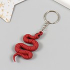 Брелок резина "Змейка цветная" МИКС 5х2 см (комплект 12 шт) - фото 25298053