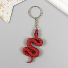 Брелок резина "Змейка цветная" МИКС 5х2 см (комплект 12 шт) - фото 25298054