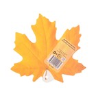 Плакат вырубной "Листочек кленовый" жёлтый, 10 х 11 см (комплект 20 шт) - фото 25307975