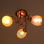 Люстра «Аббелла», 3×40 Вт Е27, золото, МОДЕЛЬ: 2612381 - фото 30812984