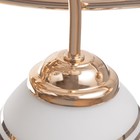 Люстра "Бриана" 8х40Вт Е27 Золото МОДЕЛЬ: 2800087 - фото 25308236