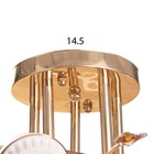 Люстра «Бэлл», БП, 5×40 Вт Е27, золото, МОДЕЛЬ: 2612356 - фото 25335275