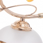 Люстра "Жаннета" 5х40Вт Е27 Золото МОДЕЛЬ: 2800064 - фото 25367694