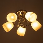 Люстра "Вега" 5х40Вт Е27 Хром МОДЕЛЬ: 2612357 - фото 25308278