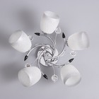 Люстра "Вега" 5х40Вт Е27 Хром МОДЕЛЬ: 2612357 - фото 25308279