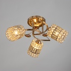 Люстра "Берти" 3х40Вт Е27  золото  МОДЕЛЬ: 2612376 - фото 25354609