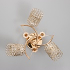 Люстра "Берти" 3х40Вт Е27  золото  МОДЕЛЬ: 2612376 - фото 25354611