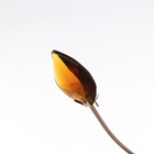 Люстра "Адель" 3х40Вт Е27 Золото МОДЕЛЬ: 2612361 - фото 25354626