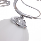 Люстра «Велма», 5×40 Вт Е27, хром, МОДЕЛЬ: 2600549 10662074