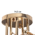 Люстра «Гита», 5×40 Вт Е27, золото, МОДЕЛЬ: 2800104 - фото 30813025