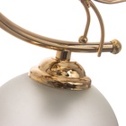 Люстра «Гита», 5×40 Вт Е27, золото, МОДЕЛЬ: 2800104 - фото 30813027