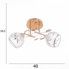 Люстра "Вики" 2х40Вт Е27 Золото МОДЕЛЬ: 2751102 - фото 25335479