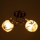 Люстра "Жаннета" 2х40Вт Е27 Хром МОДЕЛЬ: 2800064 - фото 25367789