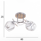 Люстра "Жаннета" 2х40Вт Е27 Хром МОДЕЛЬ: 2800064 - фото 25367791