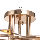 Люстра «Арден», БП, 5×40 Вт Е27, золото, МОДЕЛЬ: 2600551 - фото 25308455