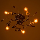 Люстра «Гасси», БП, 5×40 Вт Е27, хром, МОДЕЛЬ: 2595287 - фото 26423698