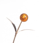 Люстра "Глори" бп 5х40Вт Е27 Золото МОДЕЛЬ: 2600545 - фото 26423721