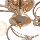 Люстра «Венда», БП, 6×40 Вт Е27, золото, МОДЕЛЬ: 2800089 10662124