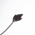 Люстра «Камми», БП, 3×40 Вт Е27, хром, МОДЕЛЬ:2638721 - фото 25419839