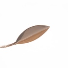 Люстра «Велма», БП, 3×40 Вт Е27, золото, МОДЕЛЬ: 2600549 - фото 26423797