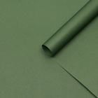 Бумага упаковочная крафт «Изумрудный»,50×70 см - Фото 1
