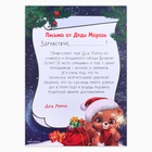 Письмо от Деда Мороза с поделкой «Новогодняя посылка» - Фото 3