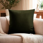 Наволочка декоративная «Этель», 43×43 см, велюр, зелёная - Фото 1