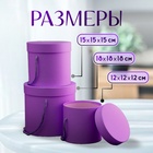 Набор коробок 3 в 1 (18*18*17/15*15*15/12*12*12 см), лавандовый 10346809 - фото 13509244