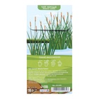 Чай чёрный «Капибара», 50 г - Фото 3