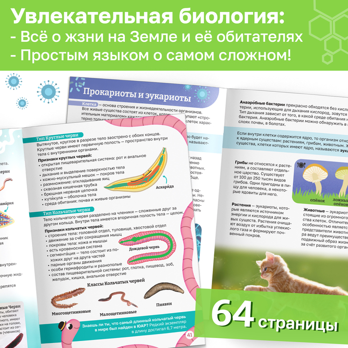 Набор энциклопедий в мягком переплёте «Физика, биология и география для детей» 10687038