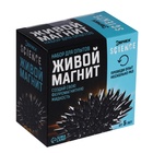 Набор для опытов «Живой магнит», уценка - Фото 3