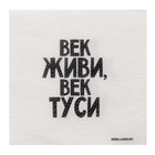 Салфетки бумажные однослойные "Век живи, век туси" 24х24 см, набор 20 шт. - Фото 2