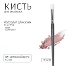 Кисть для макияжа «PREMIUM», 17,5 см, цвет чёрный 9767819 - фото 13428629