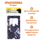 Крысоловка "Nadzor", 16,2 х 8,8 см, металлическая в упаковке с хедером 10692085 - фото 24897868