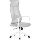 Белый/светло-серый