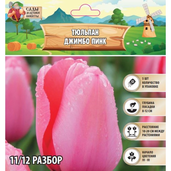 Тюльпан Джимбо Пинк, луковица в пакете с перфорацией, р-р 11/12, 5 шт. - Фото 1