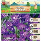 Трителейя Квин Фабиола, р-р 5/6, 10 шт, Весна 2025 - Фото 1