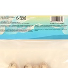 Трителейя Квин Фабиола, р-р 5/6, 10 шт, Весна 2025 - Фото 3