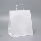 Пакет крафт без печати, белый, крученая ручка, 28×15×32 см - Фото 1