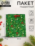 Пакет подарочный новогодний ламинированный «Веточки», 26×32×12 см - Фото 1