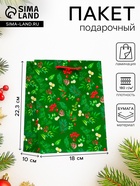Пакет подарочный новогодний ламинированный «Веточки», 18×22.3×10 см - Фото 1