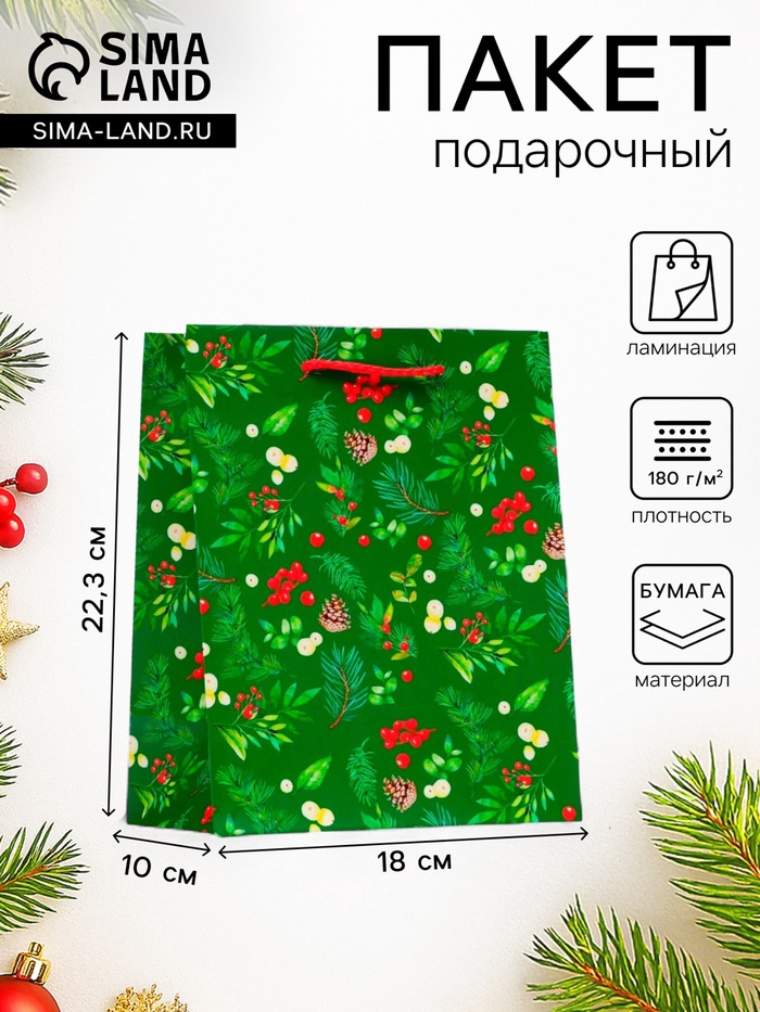 Пакет подарочный новогодний ламинированный «Веточки», 18×22.3×10 см - Фото 1