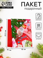 Пакет подарочный новогодний ламинированный «Кошечка», 18×22.3×10 см - Фото 1