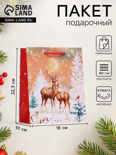 Пакет подарочный новогодний «Олени», 18×22.3×10 см
