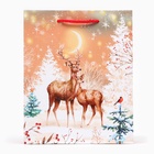 Пакет подарочный новогодний «Олени», 18×22.3×10 см - Фото 2