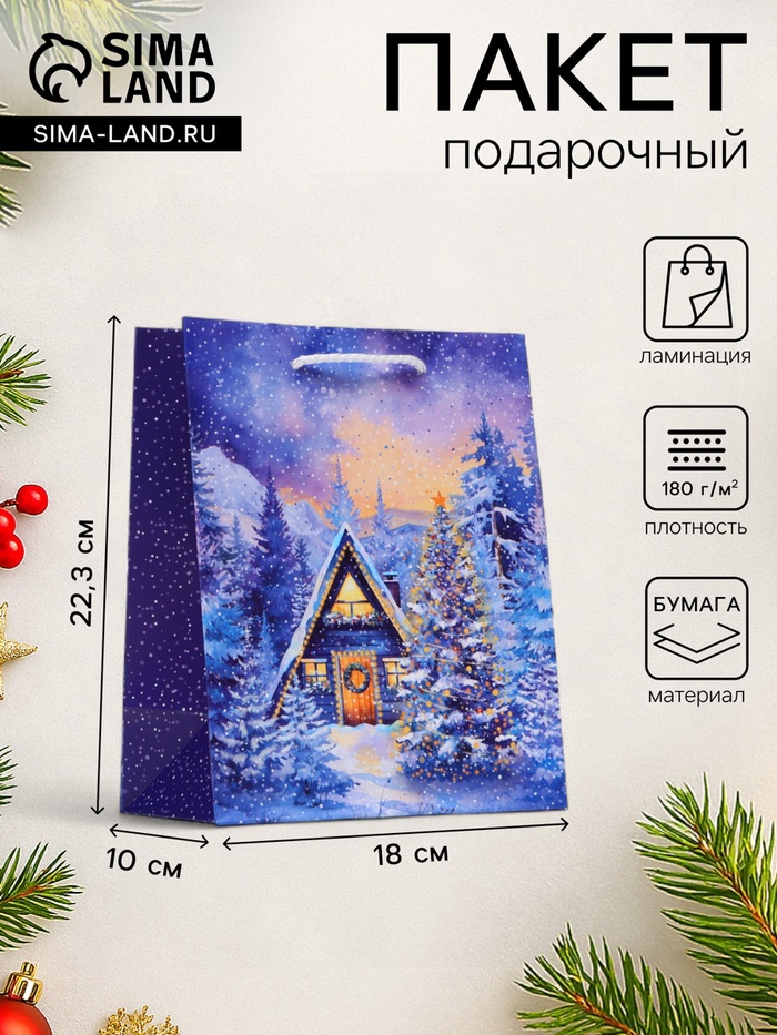 Пакет подарочный новогодний «Зимний дом», 18×22.3×10 см - Фото 1